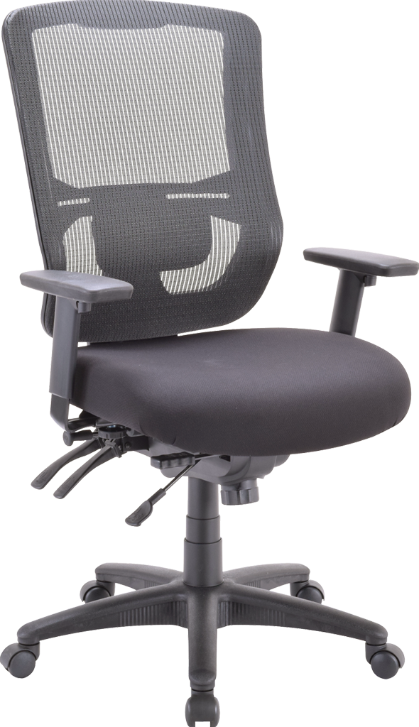 Eurotech Apollo II Multi Function High Back Task Chair (With Adjustable
