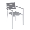 Eveleen Arm Chair Indoor / Outdoor Synthetic Polymer Seat And Back