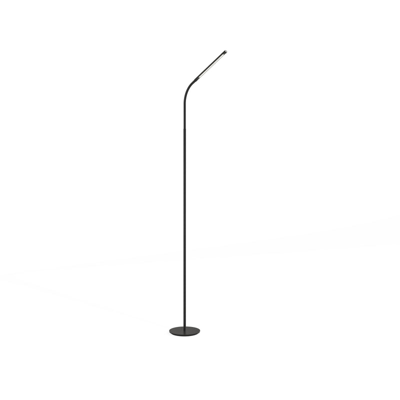 Resi® Gooseneck LED Floor Lamp