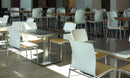 Axis Wood Shell Four Leg Chair Armless
