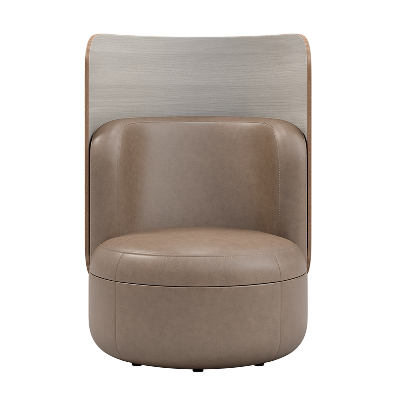 Lounge Chair with Upholstered Back and High Wood Surround