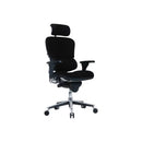 Ergohuman High Back Black Fabric Ergonomic Task Chair