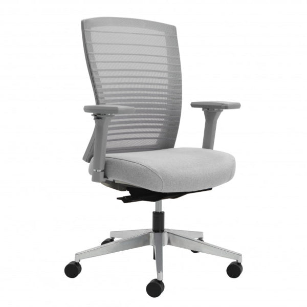 Natick Adjustable Task Chair