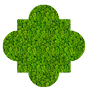 Acoustic Sound Dampening Moss Panels