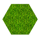 Acoustic Sound Dampening Moss Panels