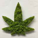 Acoustic Sound Dampening Moss Panels