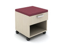 Calibrate Bottom Cubby Box  Mobile Pedestals On Casters
