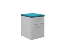 Calibrate B/F Pedestals No Feet