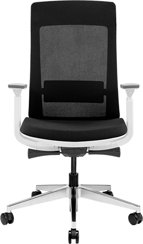 Elevate Task Chair