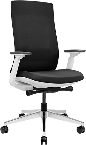 Elevate Task Chair