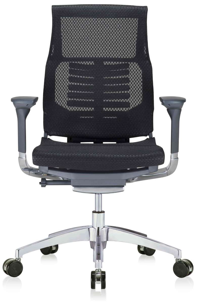 Powerfit Ergonomic Chair