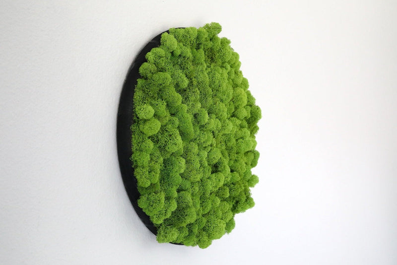 Circular Hanging Moss Wall Art