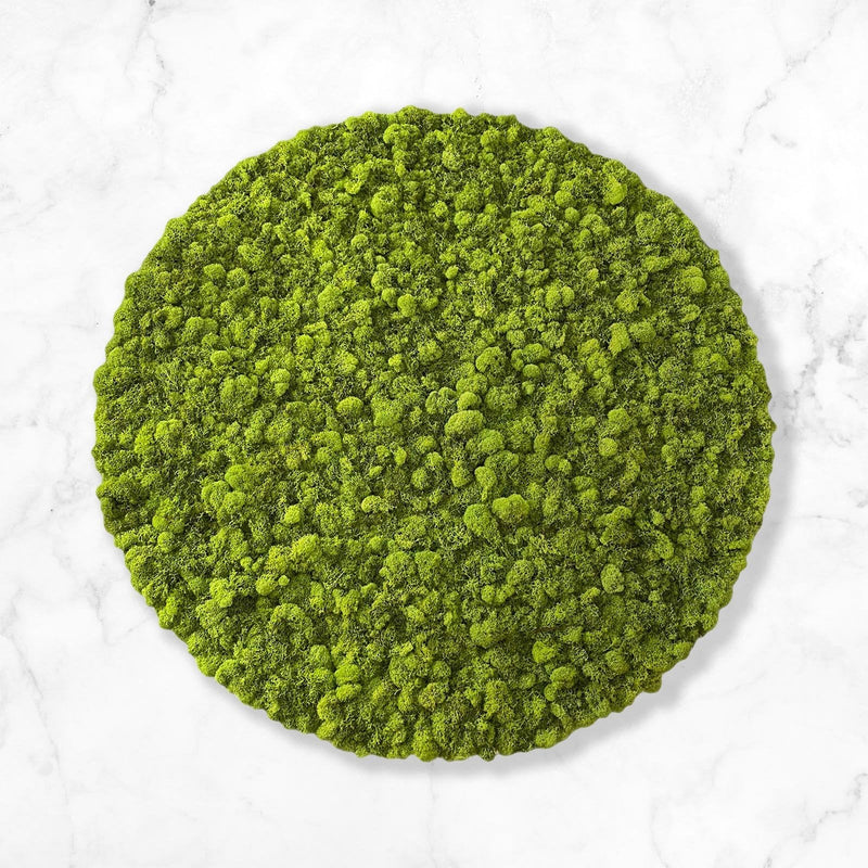 Circular Hanging Moss Wall Art