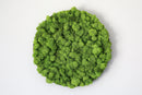Circular Hanging Moss Wall Art