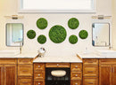 Circular Hanging Moss Wall Art