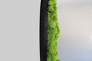 Circular Hanging Moss Wall Art