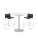 Itzee Counter Height Stool, Sled Base