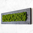Finished Wood Moss Wall Decor