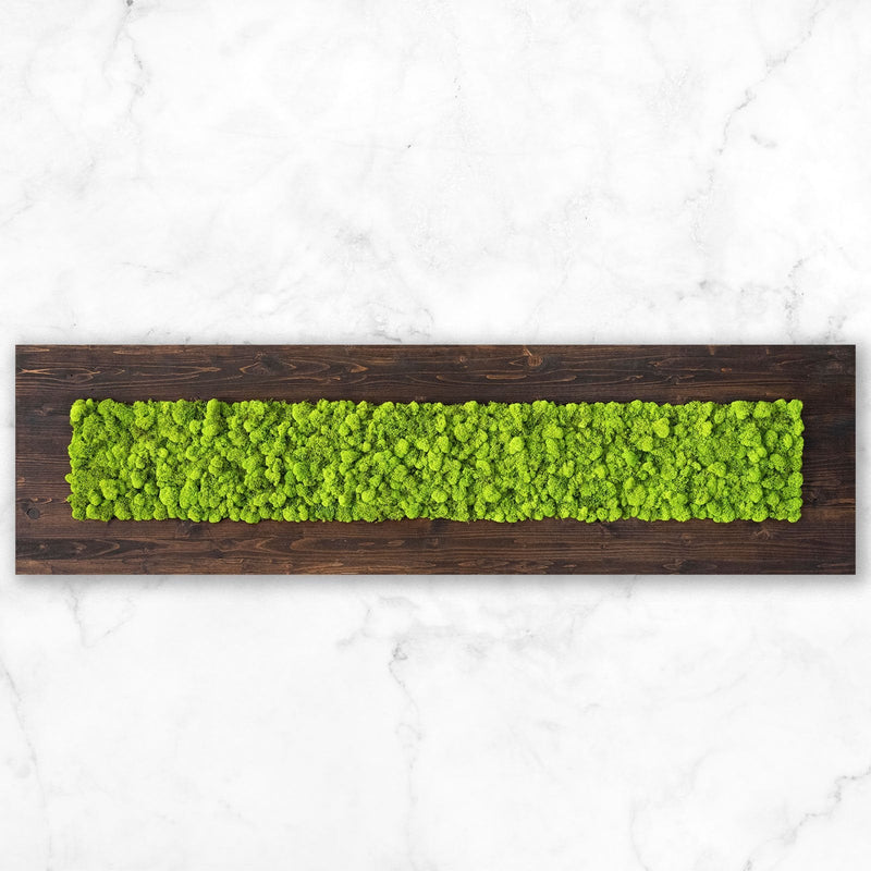 Finished Wood Moss Wall Decor