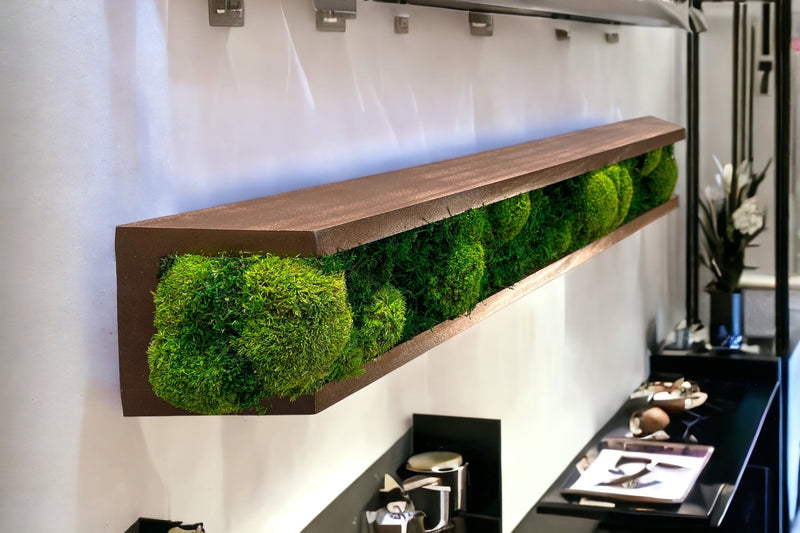 Floating Moss Shelves