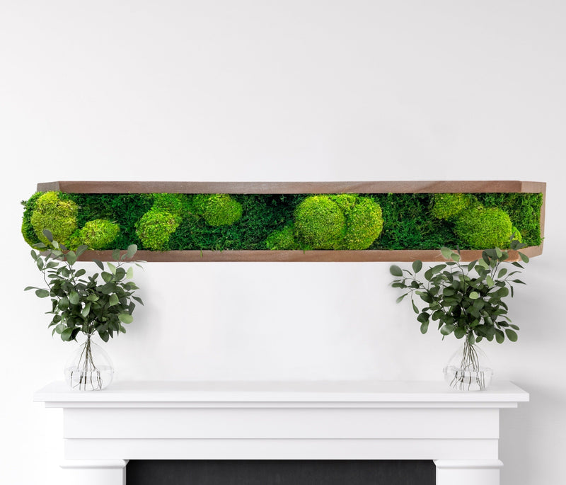 Floating Moss Shelves