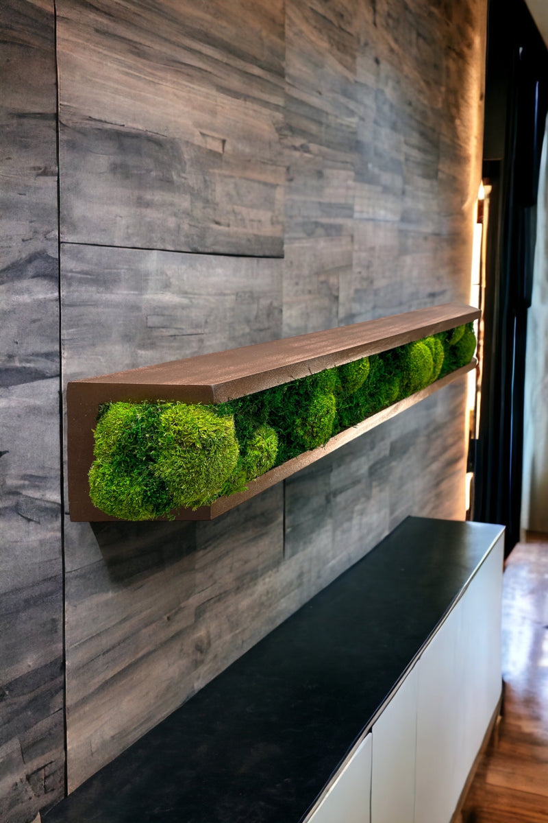 Floating Moss Shelves