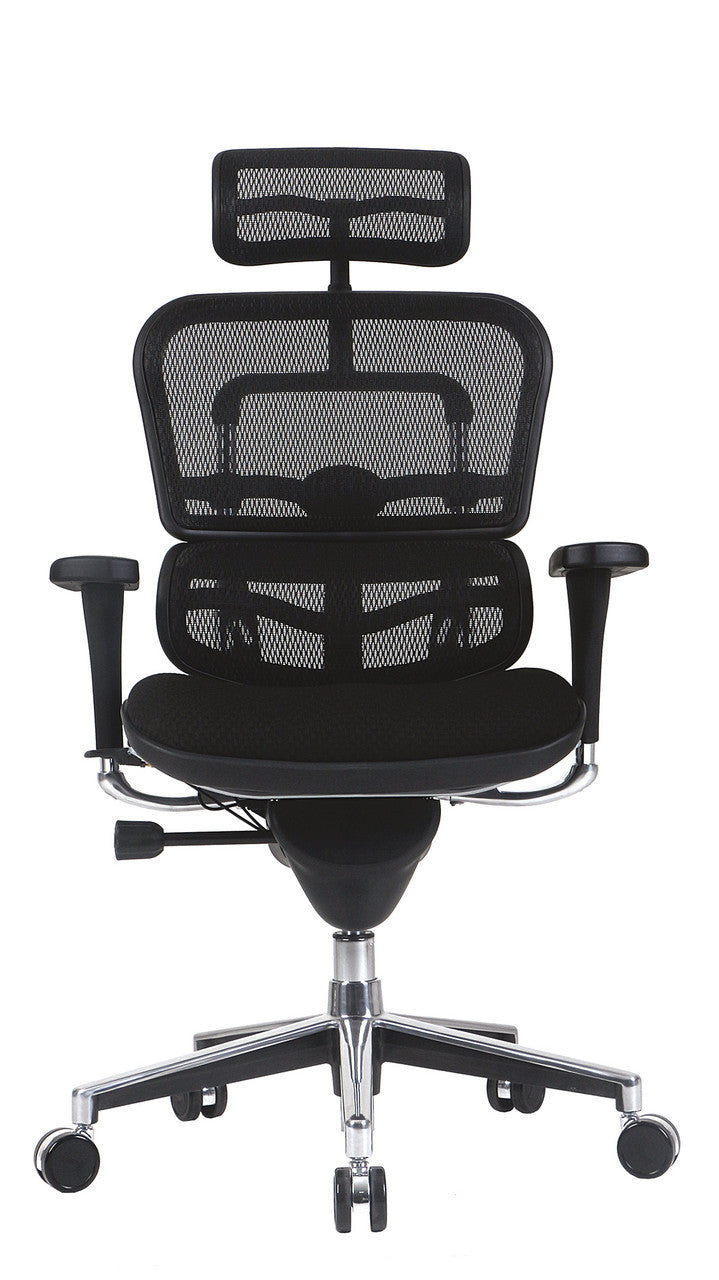 Ergohuman Mesh Back Fabric Seat Hi Ergonomic Task Chair