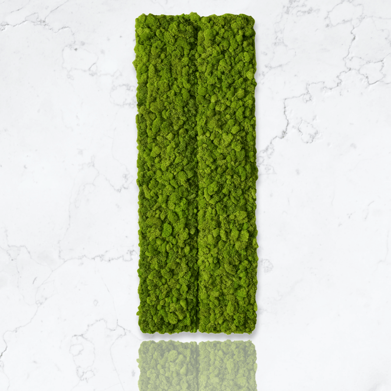 Preserved Moss Wall Panels