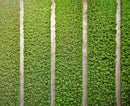 Preserved Moss Wall Panels