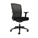 Natick Black Mesh Task Chair (Express)