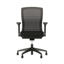 Natick Black Mesh Task Chair (Express)