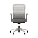 Natick Grey Mesh Task Chair (Express)