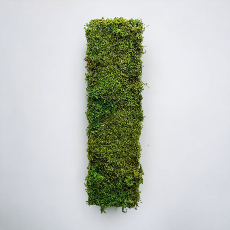 Preserved Moss Wall Panels