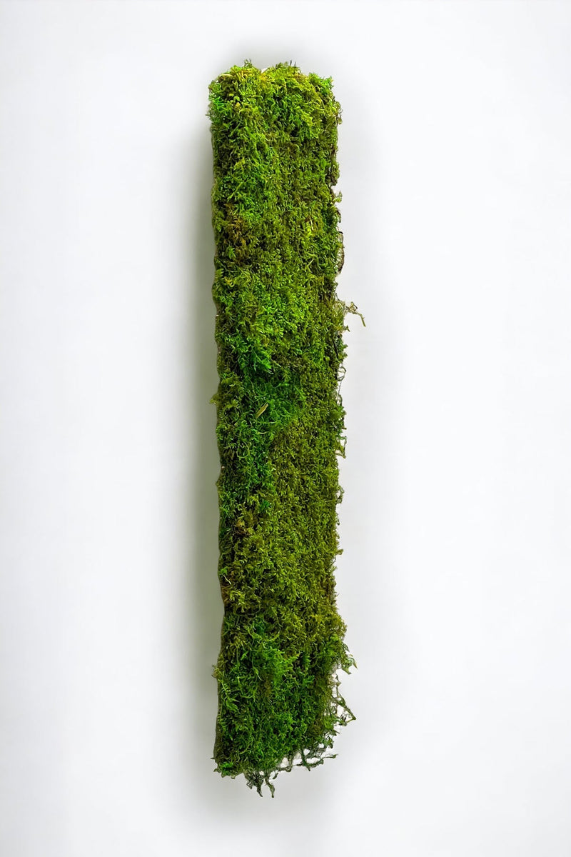 Preserved Moss Wall Panels