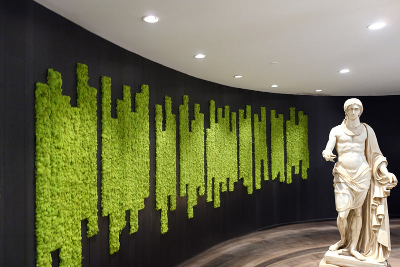 Preserved Moss Wall Panels