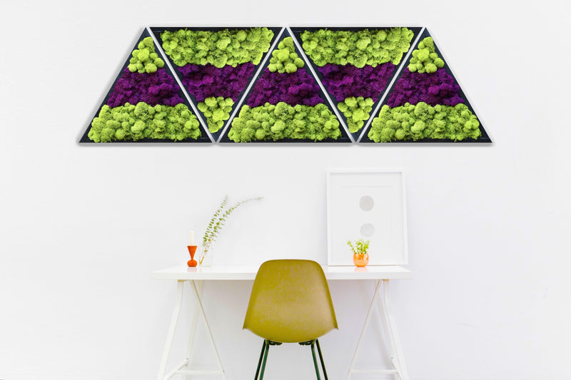 Triangle Moss Art