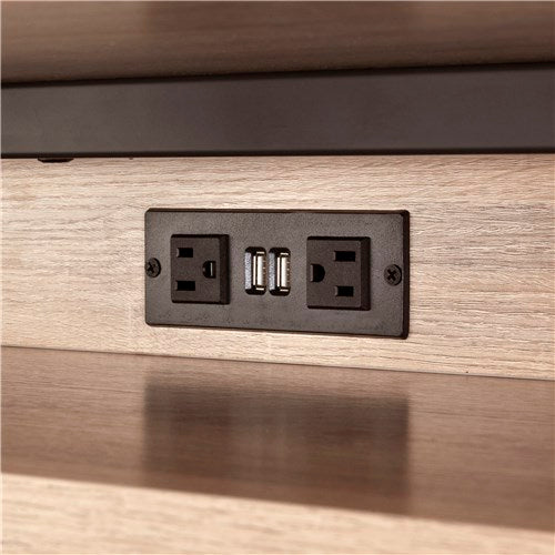Power Module with 2 Power and 2 USB Outlets, 1 Daisy Chain