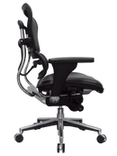 Ergohuman Leather Seat & Mesh Back Ergonomic Task Chair