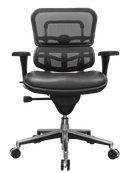 Ergohuman Leather Seat & Mesh Back Ergonomic Task Chair