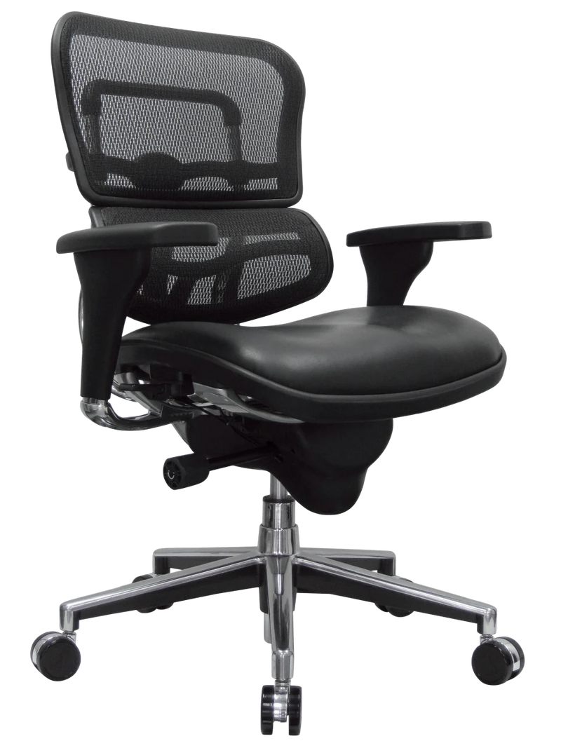 Eurotech Ergohuman Leather Seat & Mesh Back Ergonomic Task Chair