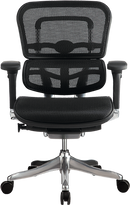Ergo Elite Mesh Ergonomic Task Chair