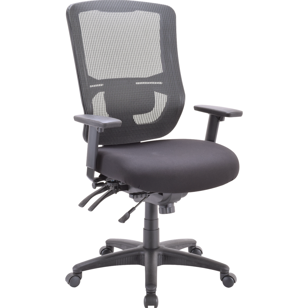Eurotech Apollo II Multi Function High Back Task Chair (With Adjustable ...