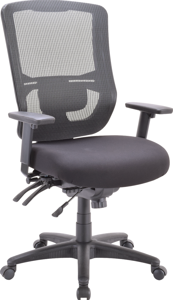 Eurotech Apollo II Multi Function High Back Task Chair (With Adjustable Lumbar Pad)
