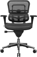 Ergohuman Mesh Task Chair