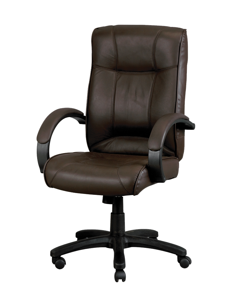 Eurotech Odyssey Task Chair (Brown/Black)