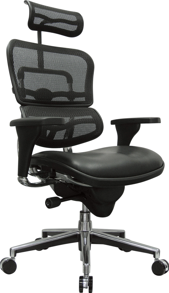 Eurotech Ergohuman High Leather Seat & Mesh Back Ergonomic Office Chair
