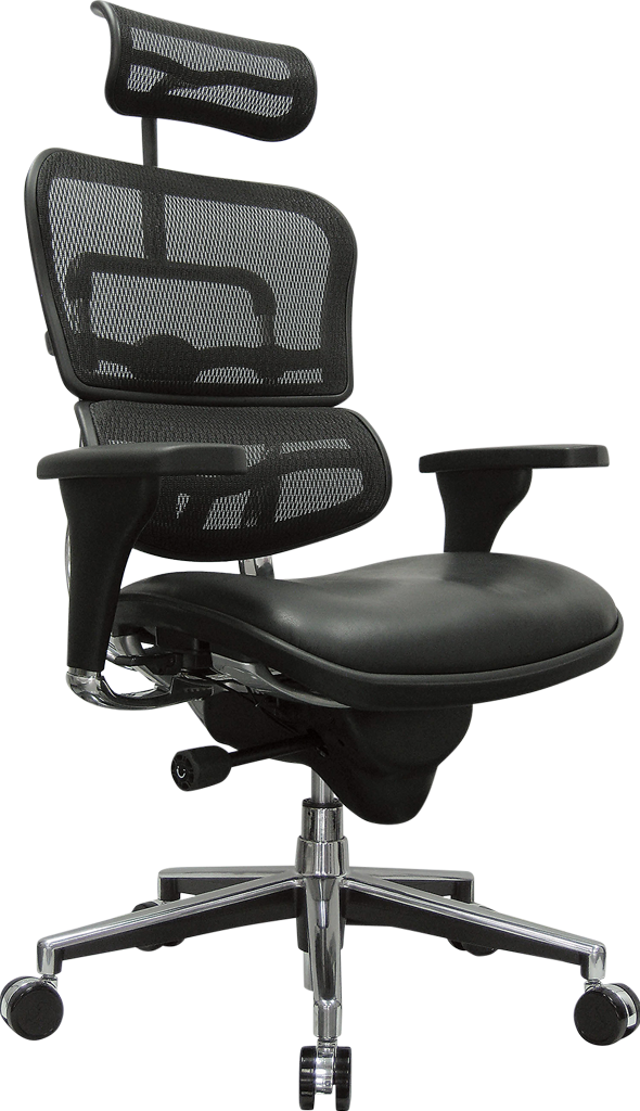 Eurotech Ergohuman High Leather Seat & Mesh Back Ergonomic Task Chair