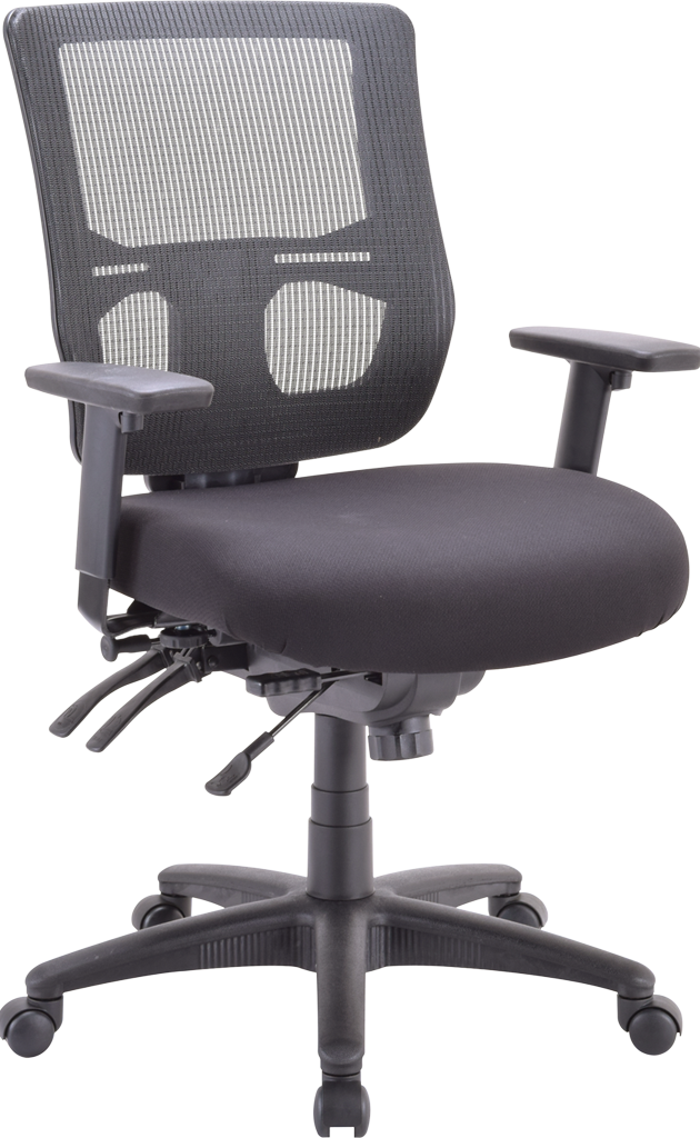 Eurotech Apollo II Multi Function Mid Back Task Chair