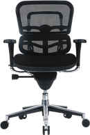 Ergohuman Mesh Back Fabric Seat Low Ergonomic Task Chair
