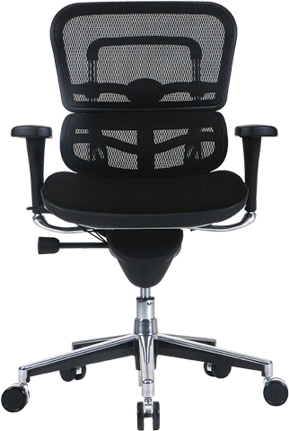 Eurotech Ergohuman Mesh Back Fabric Seat Low Ergonomic Task Chair